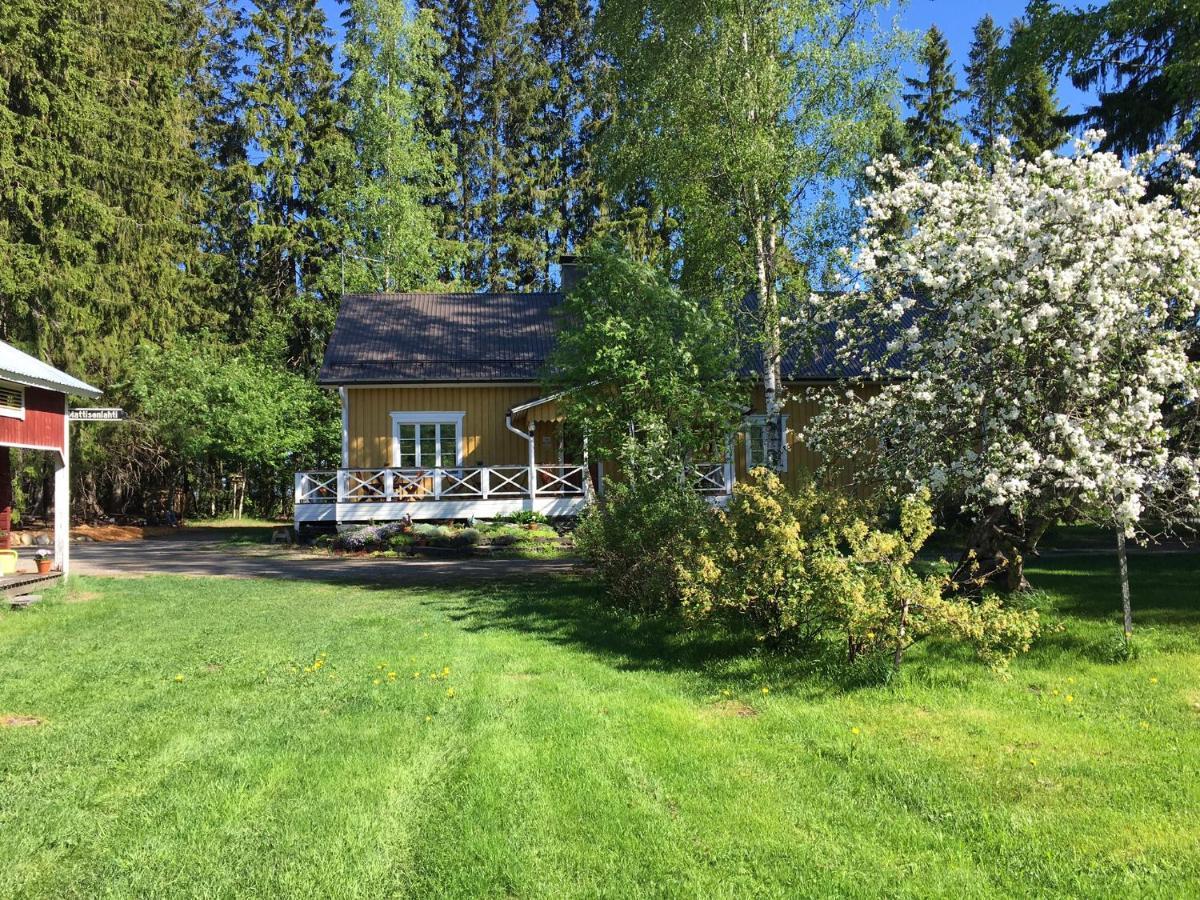 Ollilan Tupa Joensuun Laehellae Bed & Breakfast Ylämylly Екстериор снимка