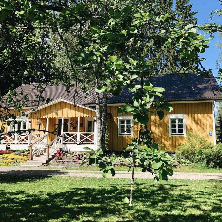 Ollilan Tupa Joensuun Laehellae Bed & Breakfast Ylämylly Екстериор снимка