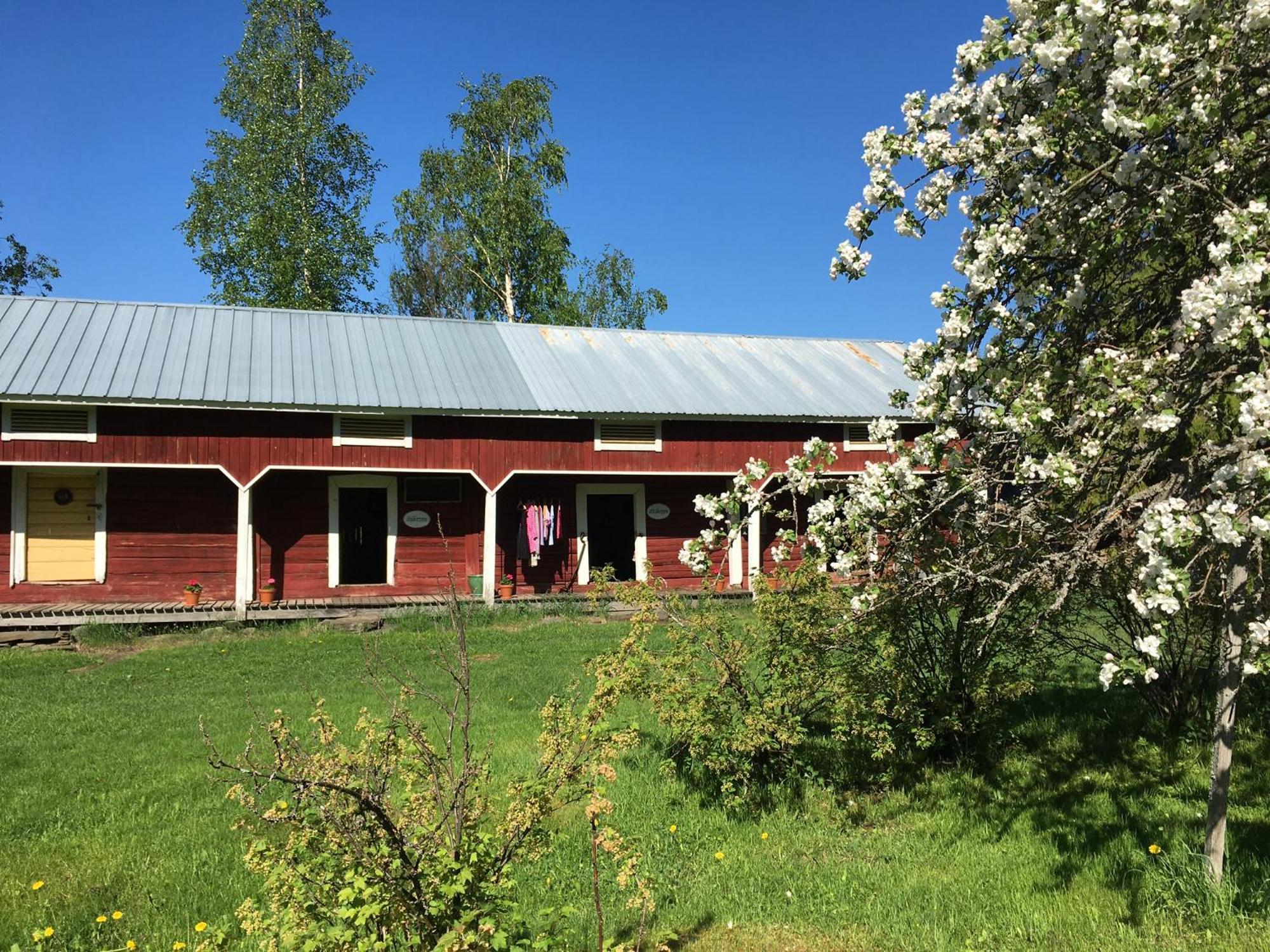 Ollilan Tupa Joensuun Laehellae Bed & Breakfast Ylämylly Екстериор снимка